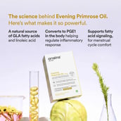 2 - Origins Nutra Evening Primrose Oil 500mg,  28 softgels 