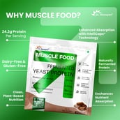 2 - Dr. Morepen Fermented Yeast Protein, 2.2 lb Chocolate