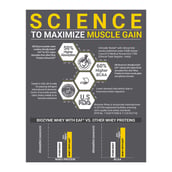 3 - MuscleBlaze Biozyme Performance Whey,  2.2 lb  Refill Pack Rich Chocolate 