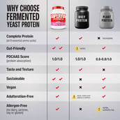 7 - Superyou Pro Fermented Yeast Protein, 1.1 lb Strawberry