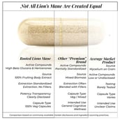 5 - Rooted Active Naturals Lion's Mane Organic Mushroom Extract,  90 veggie capsule(s) 