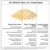 4 - Rooted Active Naturals Lion's Mane Organic Mushroom Extract, 60 g