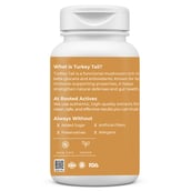 2 - Rooted Active Naturals Turkey Tail Organic Mushroom Extract, 60 veggie capsule(s)