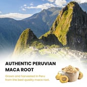 8 - Rooted Active Naturals Maca Root, 100 g