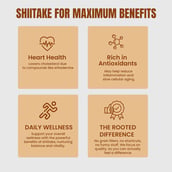 5 - Rooted Active Naturals Shiitake Organic Mushroom Extract, 60 g