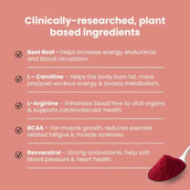 7 - Rooted Active Naturals Power Beets, 250 g Berry