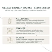 1 - TrueBasics Clean Yeast Protein, 2.2 lb Cafe Mocha