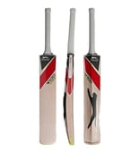 Slazenger V-100 Amateur Cricket Bat,  5  Kashmir Willow 