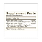 supplement - GNC Green Tea,  100 capsules  Unflavoured 