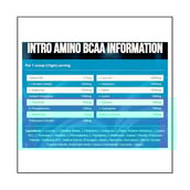 supplement - Adapt Nutrition Intra Amino BCAA,  0.82 lb  Pineapple 