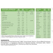 supplement - BodyFirst Whey Protein Concentrate with ProHydrolase, 5 sachets/pack Milk Chocolate