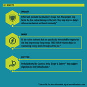 Benefit2 - TrueBasics Multivit Greens - All Veg Multivitamin,  90 tablet(s)  Unflavoured 