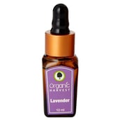 Organic Harvest Essential Oil,  10 ml  Lavender 
