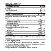 supplement - Labrada BCAA Power,  0.91 lb  Orange Mango 