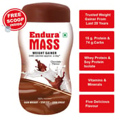 Endura Mass, 1.1 lb Chocolate