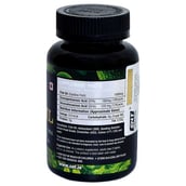 supplementinfo - SNT Fish Oil, 90 capsules