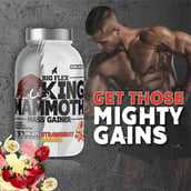 4 - Big Flex King Mammoth Mass Gainer, 2.2 lb Strawberry Banana