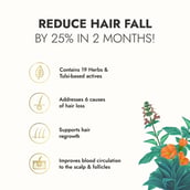 6 - Kapiva Hair Rituals Tulsi Anti Hairfall Oil, 100 ml for All Hair Types