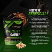 7 - MuscleXP Weight Gainer with Digestive Enzymes,  2.2 lb  Double Chocolate+Shaker 