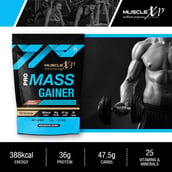 7 - MuscleXP Pro Mass Gainer with Whey Protein, 2.2 lb Double Chocolate+Shaker