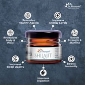 3 - Dr. Morepen Shilajit Resin (Pack of 2), 15 g