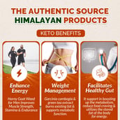 4 - Divya Himalayan Premium KETO (Pack of 2), 60 capsules