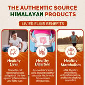 3 - Divya Himalayan Super Liver Elixir (Pack of 2), 450 ml