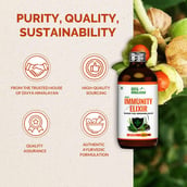 4 - Divya Himalayan Super Immunity Elixir (Pack of 2), 450 ml