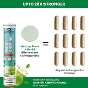 4 - Naturyz Plant KSM-66 with Ashwagandha(Apple Green Flavour), 20 tablet(s)