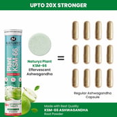 4 - Naturyz Plant KSM-66 with Ashwagandha(Apple Green Flavour),  15 tablet(s) 