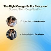 4 - Setu Deep Sea Fish Oil 1000mg (Pack of 3), 60 softgels