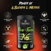 8 - Naturyz Pre-Form X6 & Ripped X6 0.88 lb Combo, 2 Piece(s)/Pack Aam Panna & Guava