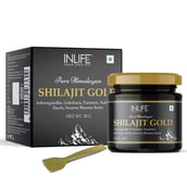 3 - INLIFE Pure Himalayan Shilajit Gold, 20 g