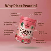 7 - Origin Nutrition Plant Protein, 0.63 lb Berry Delight