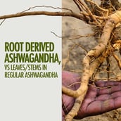 3 - Kapiva Ashwagandha Gold, 30 capsules
