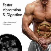 6 - Kapiva Testofuel Shilajit Whey 2.2lb & Shilait Gold Resin 20g Combo, 2 Piece(s)/Pack Belgian Chocolate