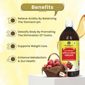 3 - Dr. Patkar's Apple Cider Vinegar Pack of 2,  0.5 L  Unflavoured 