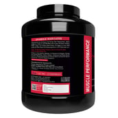 2 - Muscle Performance Anabolic Mass Gainer, 5.5 lb Belgium Chocolate