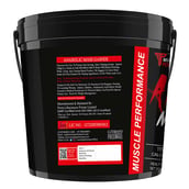 5 - Muscle Performance Anabolic Mass Gainer, 11 lb Irish Chocolate with Steel Shaker
