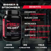 5 - Muscle Performance Anabolic Mass Gainer, 2.2 lb Irish Chocolate with Steel Shaker