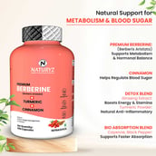 3 - Naturyz Premium Berberine + Cinnamon + Turmeric, 60 capsules