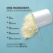 8 - AS-IT-IS Nutrition Whey Protein Concentrate 80%, 0.55 lb Unflavoured