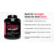 9 - Muscle Performance Anabolic Mass Gainer with Creatine Monohydrate 0.66 lbs & Steel Shaker Combo, 5.5 lb Rabri Kulfi
