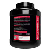 2 - Muscle Performance Anabolic Mass Gainer with Creatine Monohydrate 0.66 lbs & Steel Shaker Combo, 5.5 lb Rabri Kulfi