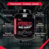 4 - Muscle Performance Anabolic Mass Gainer with Creatine Monohydrate 0.66 lbs & Gym Bag Combo, 5.5 lb Creamy Vanilla