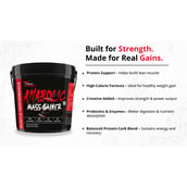 9 - Muscle Performance Anabolic Mass Gainer with Steel Shaker & Gym Bag Combo,  11 lb  Rabri Kulfi 
