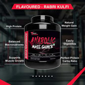 5 - Muscle Performance Anabolic Mass Gainer with Steel Shaker & Gym Bag Combo,  5.5 lb  Rabri Kulfi 