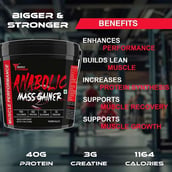 5 - Muscle Performance Anabolic Mass Gainer with Creatine Monohydrate 0.66 lbs Combo,  11 lb  Rabri Kulfi 