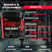 7 - Muscle Performance Anabolic Mass Gainer with Gym Bag Combo, 11 lb Irish Chocolate