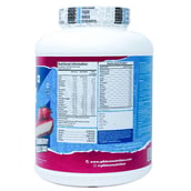 4 - Gibbon Nutrition Mass Gainer,  6.6 lb  Strawberry Cheese Cake 